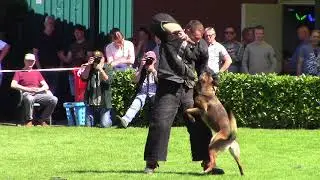 KNPV Keuring 2018