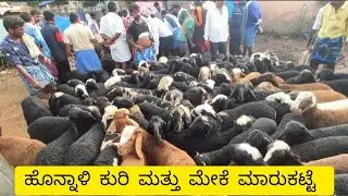 Honnalli sheep and goats market update | Every Wednesday morning bazar | Karnataka
