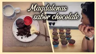🍫🧁&iexcl;Las Magdalenas de Chocolate M&Aacute;S ESPONJOSAS  con pepitas que has probado!  Receta Casera Perfecta.