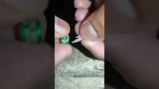 lovebirds chicks ko ring dalny Ka tarika #lovebirds