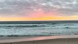 23.01.2026 Sydney Surf Report Queenscliff Beach Australia