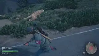 DAYS GONE Cougar and Wolves Fighting Deacon