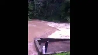 San Lorenzo River - Boulder Creek CA