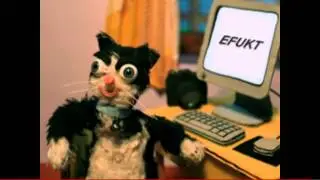 Efukt lol reaction!