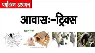 mp tet paryavaran trick आवास // EVS //Avas trick //CTET /TET REET /MPTET vyapam exam mp tet