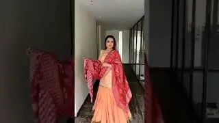 Dhunki - The ethnic break design jacquard dupatta #shorts #trending