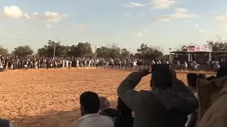 Horse show in Libya celebrates the country's rich equestrian roots