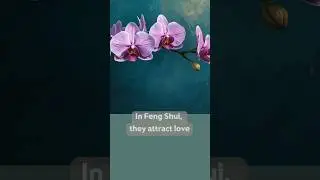 Most Seductive Plant in Feng Shui? 🌸 Orchids & Harmony in 4K #youtubeshorts #shortart