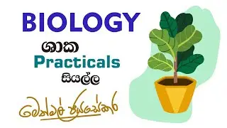 Bio -  ශාක පාඩමේ Practicals සියල්ල - 2024 Revision