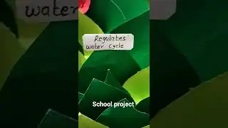 tree gives us.🌲#diy #schoolproject #tree #treegivesus #art&crafts #crafted #viralvideo #viralshorts