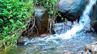 Calm River Sounds for Sleep Healing