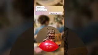 Декоратор тамада! 😂 P.S. Помогаем удалить несправедливые отзывы, пишите 📨