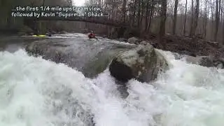 Lower Big Creek   Great Smoky Mountains National Park