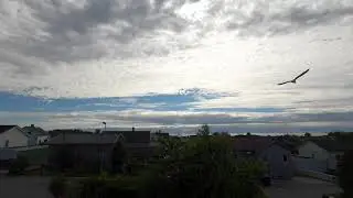 Neighbourhood city town Suburbs  ambience calming sounds relaxing