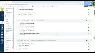 BUS 150 Week 3 Overview Microsoft Word