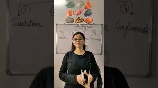 Shale Rock | Types of Sedimentary Rocks #science #education #shorts #learning #teaching #ncert