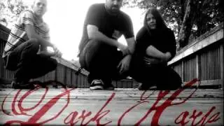 DARK HARP-Bring Me To Life (Evanescence cover)