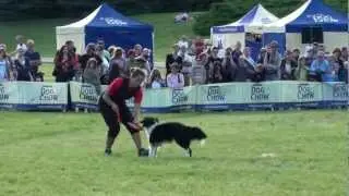 ME v dogfrisbee 2012