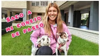 Saco de paseo a mi conejo Lucky - miperritacharlotte MPC