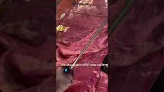 Metallic Copper Pink Tissue Saree | Handloom tissue saree #tissuesaree ue