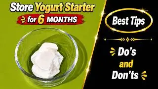 How to Store Yogurt (Curd) starter for 6 MONTHS for fermenting | Best tips to Store Curd culture
