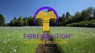 FIBREVOLUTION - Hand Grading Flax Fiber for Linen