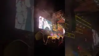 Backstreet Boys Concert | Morgan Elize