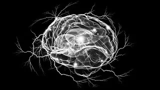 On Dark Matter, The Physical Universe, Birth & Death, and Mind
