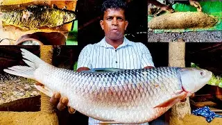 Village Boys Baked Huge River Fish | Fish Packed in Clay | Ancient Cooking