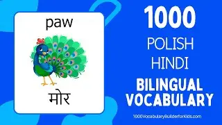 Learn Polish Hindi 1000 Bilingual Vocabulary for Beginners