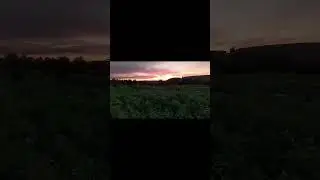 #деревня #деревнямоя #сенокос