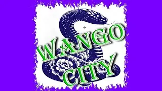 Something Wonderful by Jon Dee Graham cover by Wango City at Kilpatrick Block Party 071225 ProAudio9