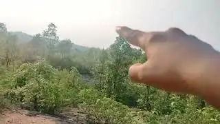 Aaj Ham Aaye pahad ko ghumne ke liye#foresttrip #mountains #vlog