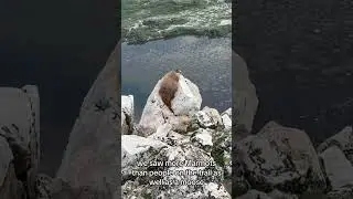 One of the best hikes in Wyoming