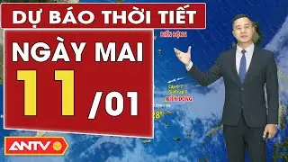 Dự b&aacute;o thời tiết mới nhất ng&agrave;y mai 11/1: Bắc Bộ nắng hanh; Trung Bộ trời r&eacute;t | ANTV