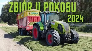 🍀Zbi&oacute;r Traw 🍀II pokos w Gr Kopacz 🔥Case & Class 🔥2024 !!!
