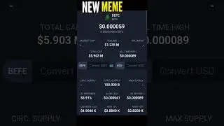 New Meme COIN #BEFE de Bitgert Brise Token