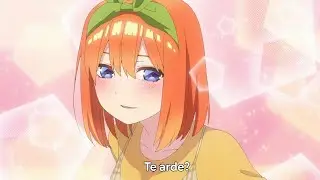 Te Arde?