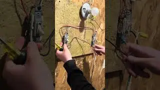 Kayden Schaf 3 Wire Circuit