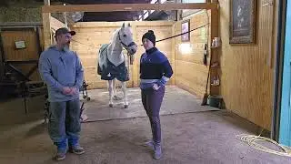 Chatting With The Farrier | Barn Besties