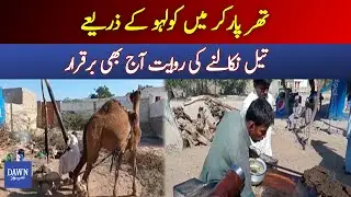 Traditional Oil Extraction Technique Still In Popularity In Today's Day & Age | Dawn News