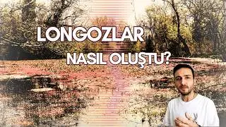 Ağaçların Yürüdüğü Tek Yer: 