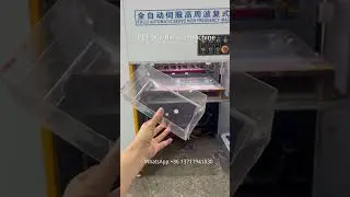 PET box automatic die cut machine #machine #petbox #factory