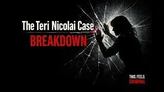 Анализ дела Тери Николаи