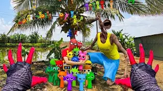 👀🌴A Coconut Tree Full of Sprunki?! Spider-Man & Siren Head Are Shocked! - Spider Storie