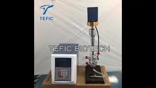 TEFIC brand ultrasonic flow cell reactor