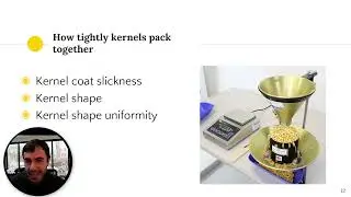 Understanding Test Weight