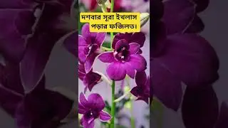 দশবার সূরা ইখলাস পড়ার ফজিলত। #dua#wsz#trending #islamicstatus #foryou #eelsvideo