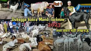 Dubagga bakra mandi 2023 | सबसे सस्ता बकरा मंडी | Lucknow bakra mandi  Joggers park  | Abid vlogger