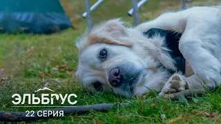 Эльбрус | 22 серия | Сон